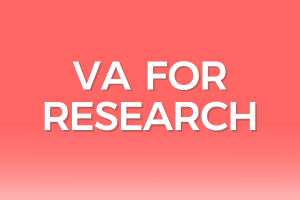 Hire a Virtual Assistant for Research to Save Time and Money