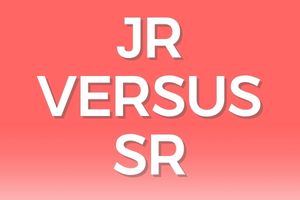 Junior Vs Senior Virtual Assistants: Which Should You Hire?